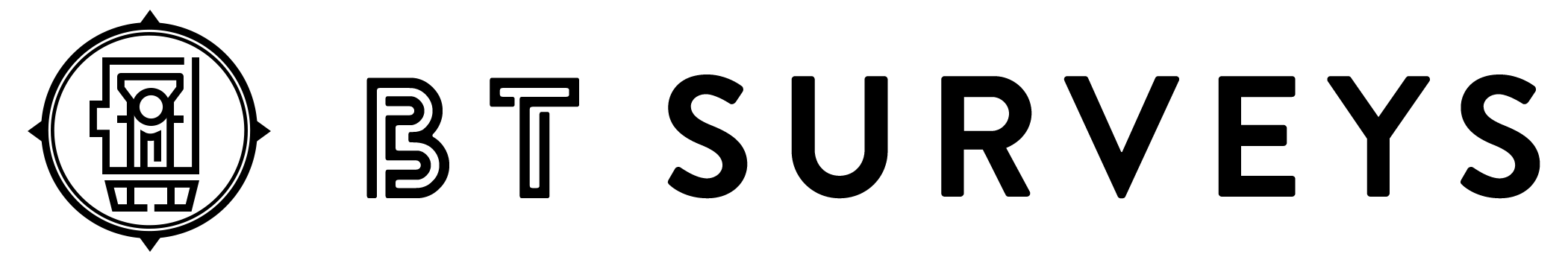 bt-surveys-logo-transparent